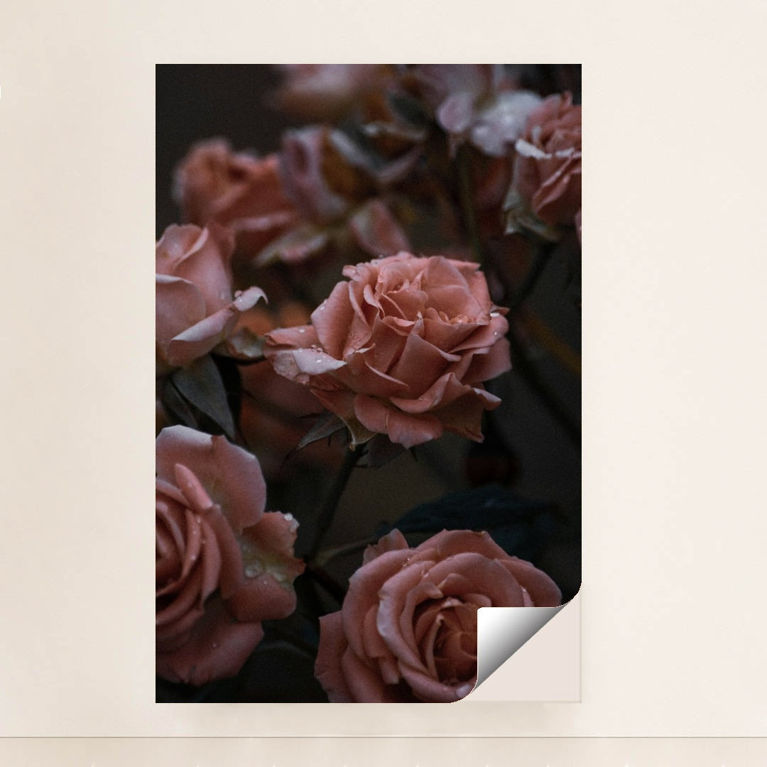 Quiet Roses at Dusk by Christina D. - Peeliez