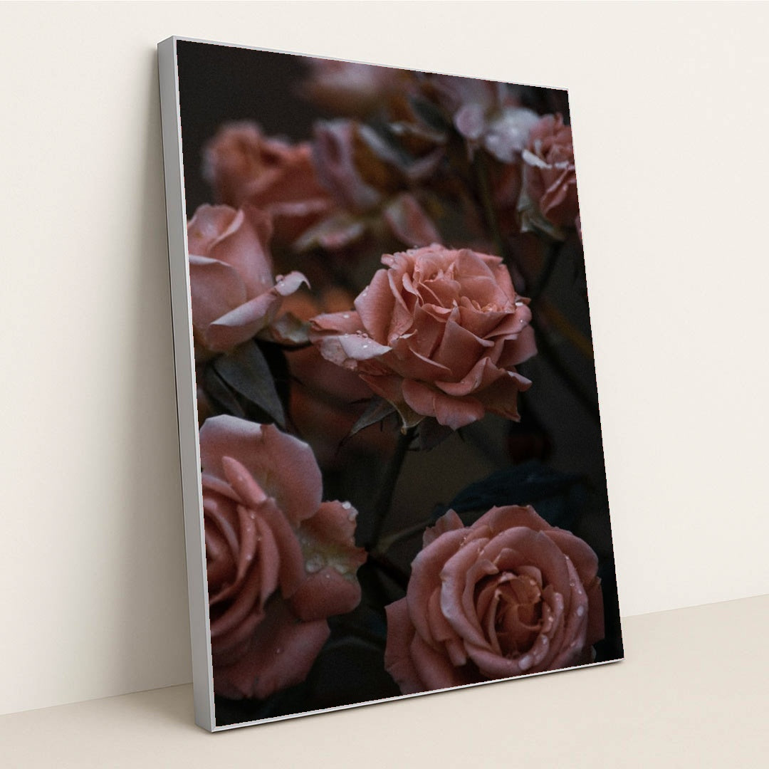 Quiet Roses at Dusk by Christina D. - Silver Frame Stretchiez