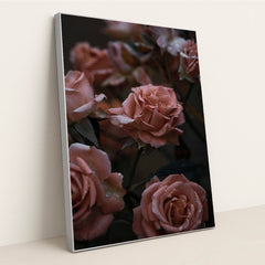 Quiet Roses at Dusk by Christina D. - Silver Frame Stretchiez