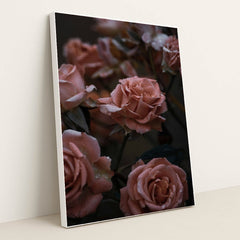 Quiet Roses at Dusk by Christina D. - White Frame Stretchiez