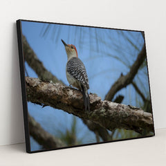 7090353438755 - Product Image