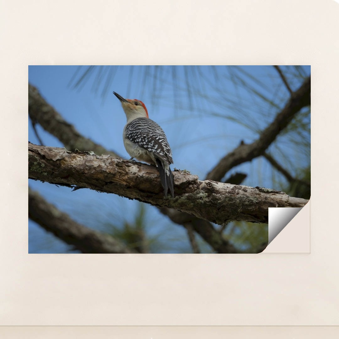 7090353438755 - Product Image