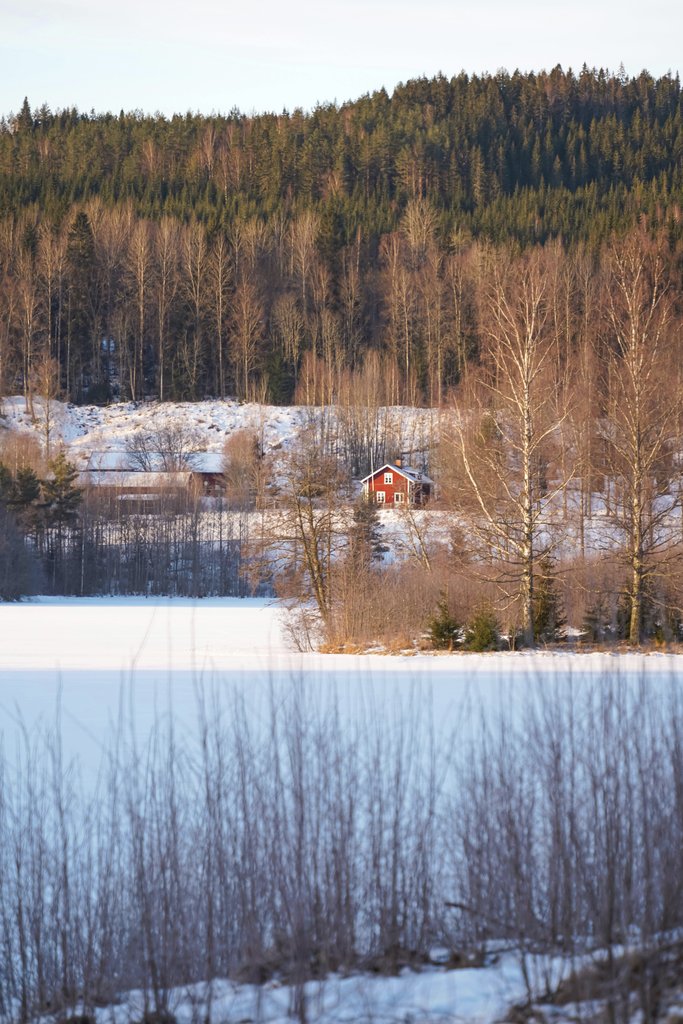 Damir K. - Scenic Winter Landscape In Varmland Sweden