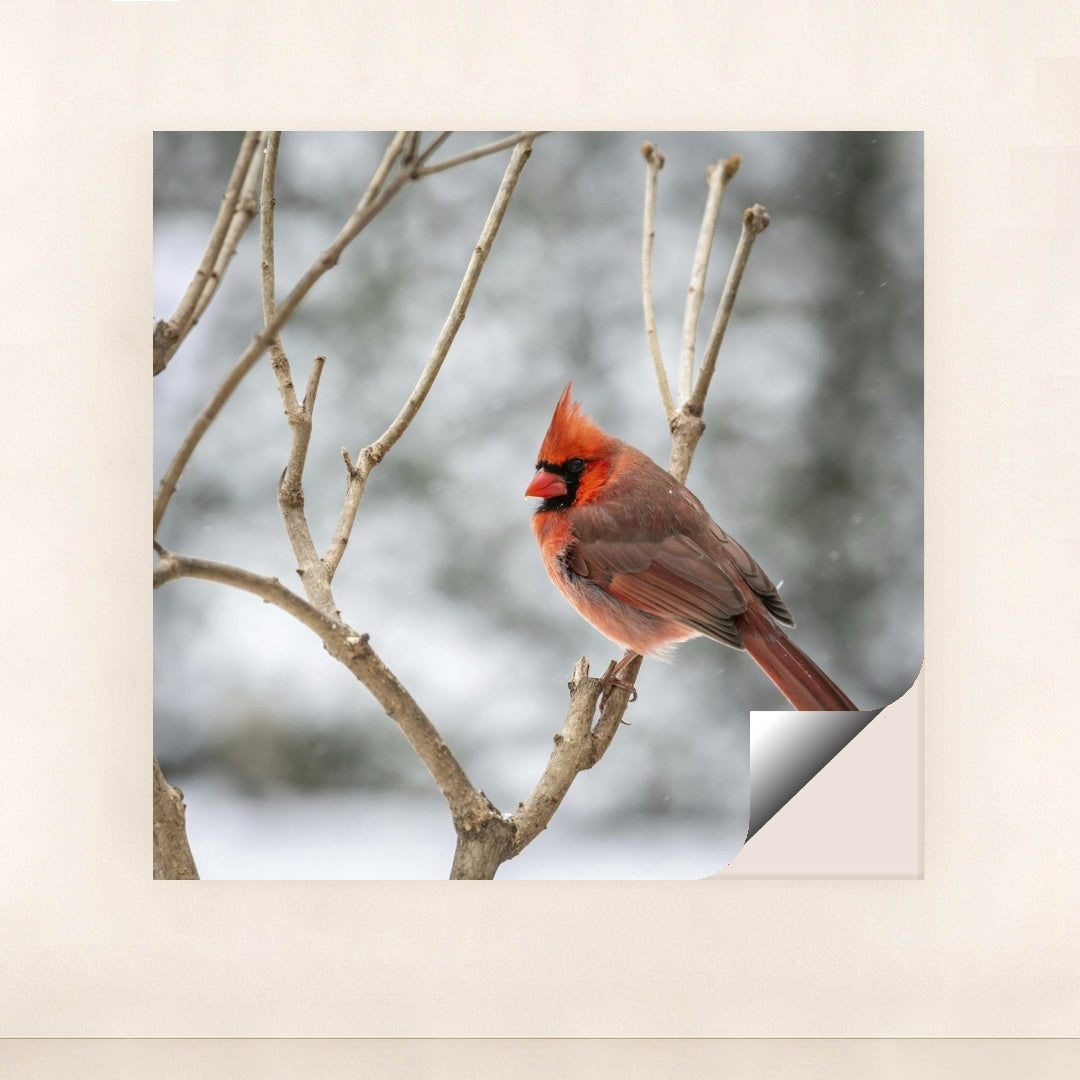 7090347900963 - Product Image