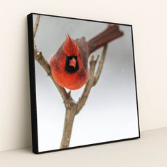 7090334793763 - Product Image