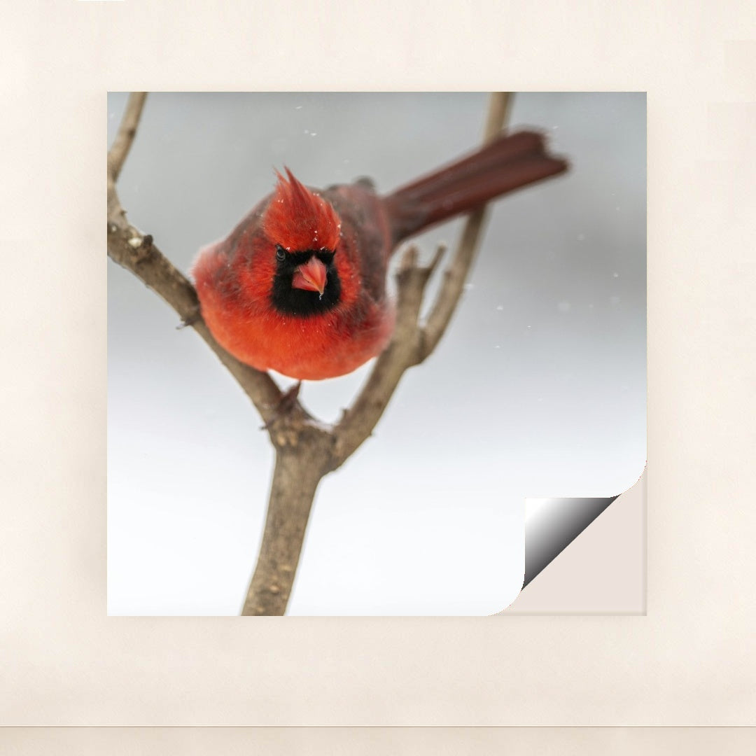 7090334793763 - Product Image