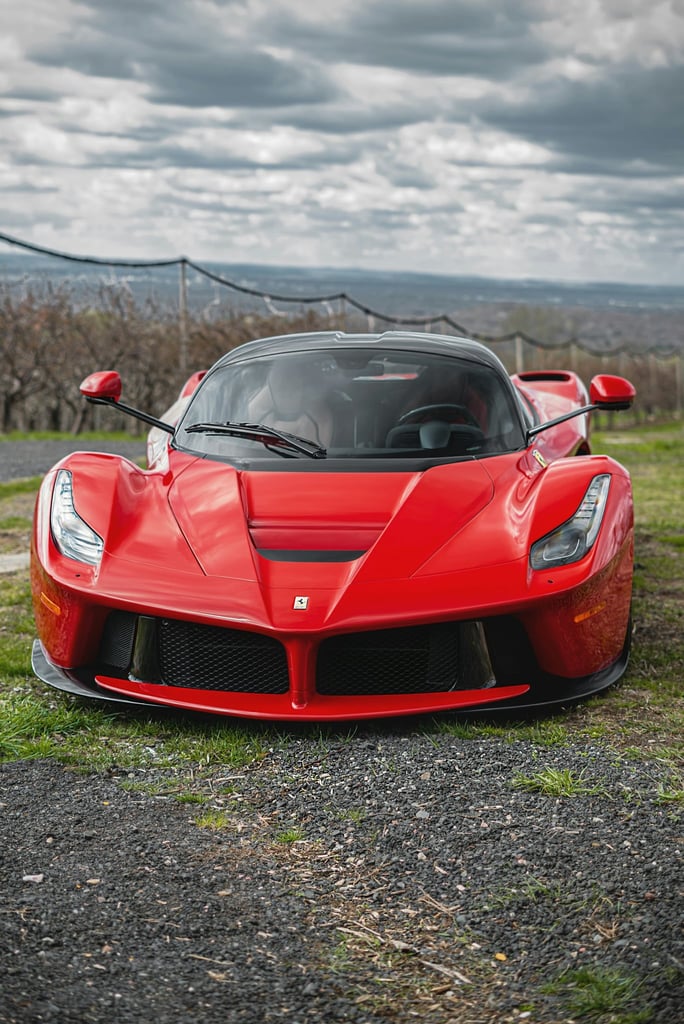 Ferrari LaFerrari in Nature's Embrace: striking red car in a natural setting, showcasing its sleek design and aggressive front fascia.