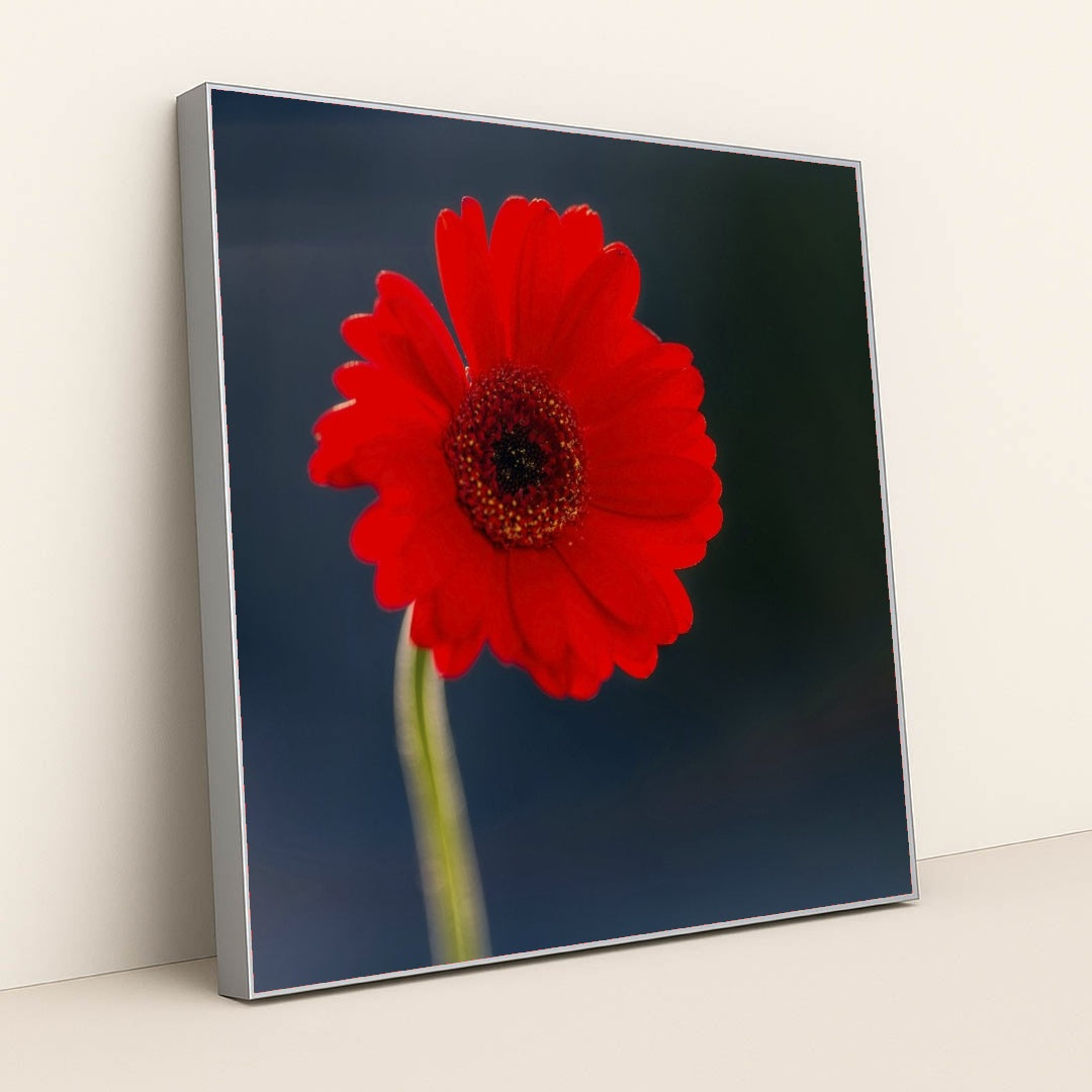 7090254905379 - Product Image