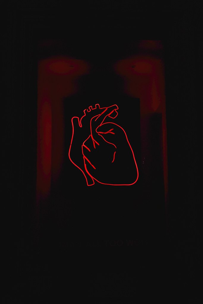 Alexandru Acea - Red heart clip art photo