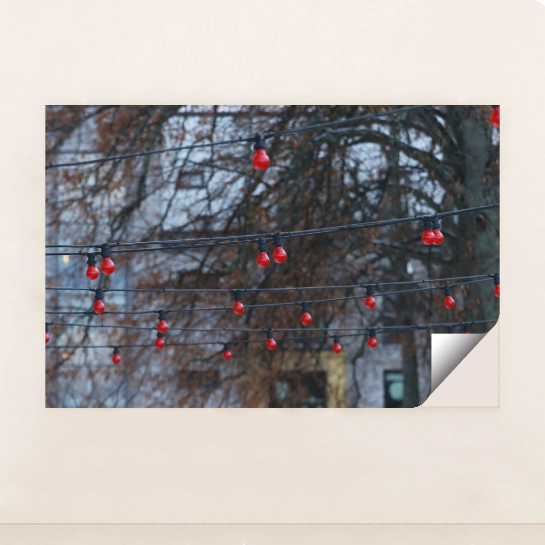 7090353471523 - Product Image