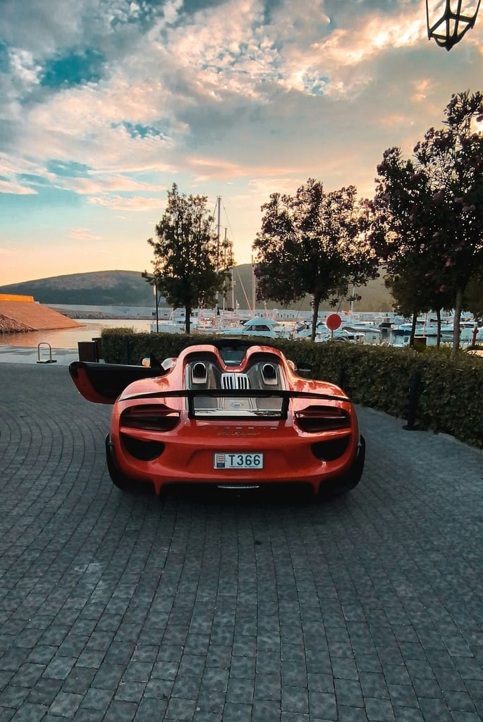 Porsche 911 GT3 RS Parked Above the Bay, showcasing its striking rear design in an elevated landscape.
