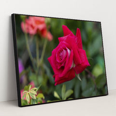 7090345443363 - Product Image