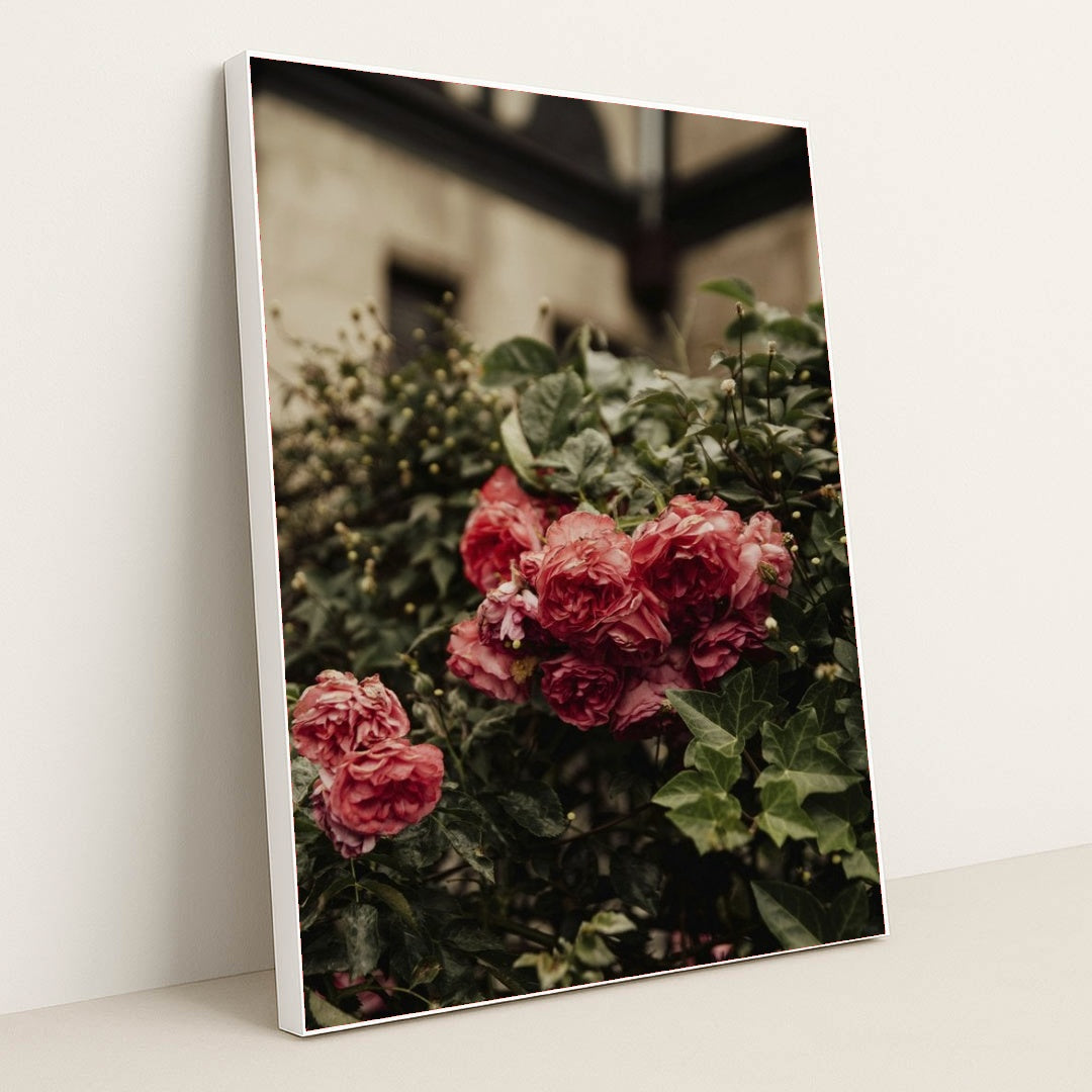 7090298126371 - Product Image