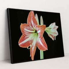 7090263752739 - Product Image