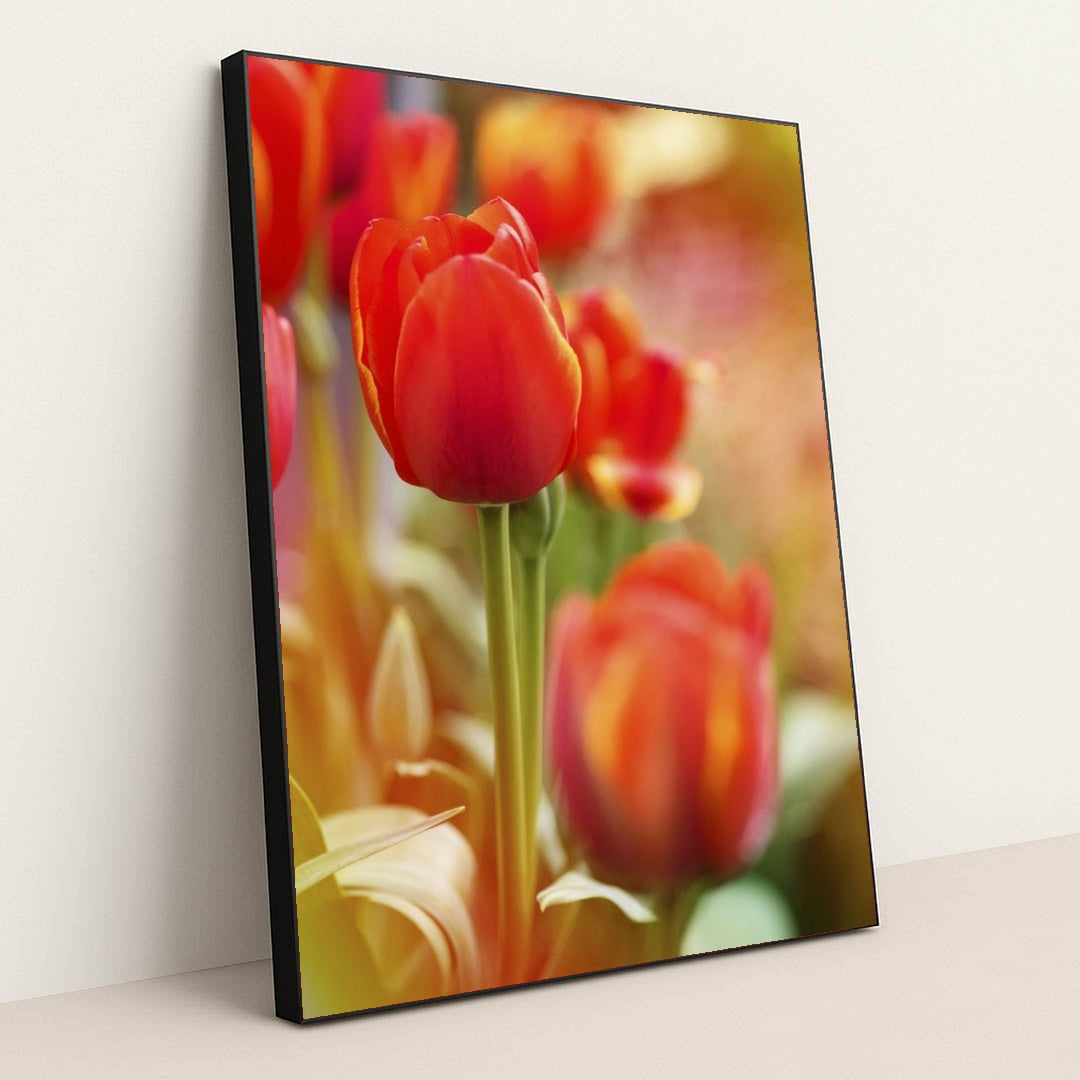 7090346655779 - Product Image