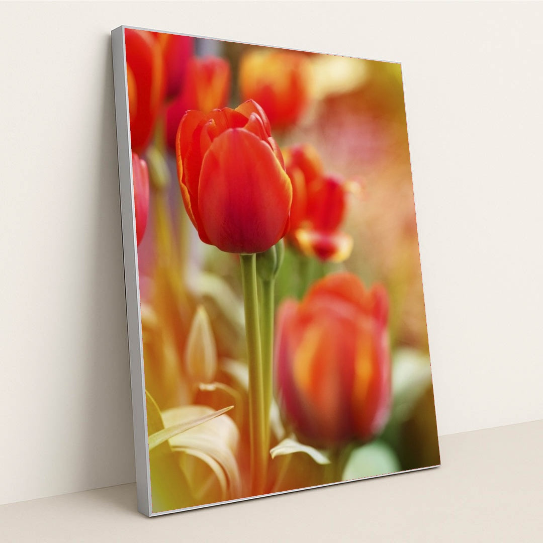 7090346655779 - Product Image