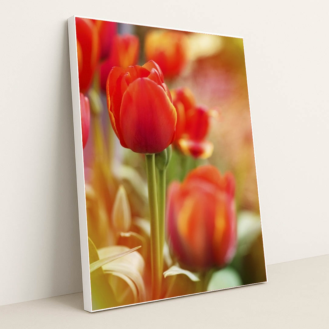 7090346655779 - Product Image