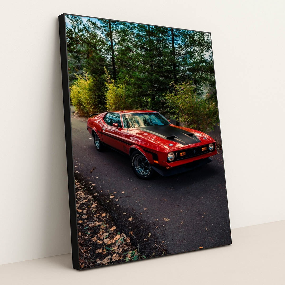 Redline Classic by Meritt Thomas - Black Frame Stretchiez