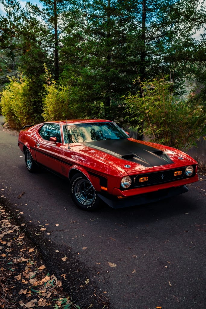 Redline Classic by Meritt Thomas