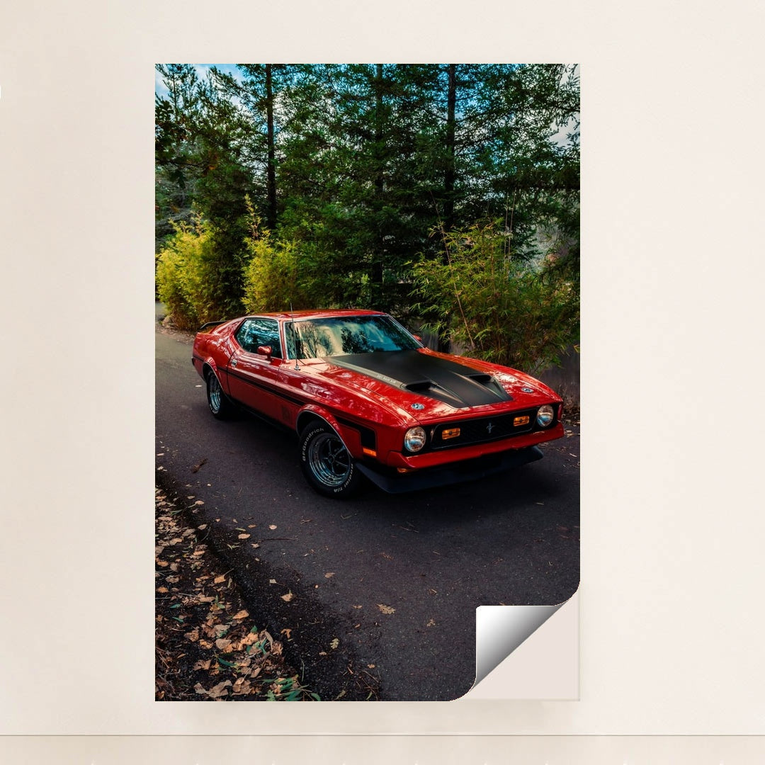 Redline Classic by Meritt Thomas - Peeliez
