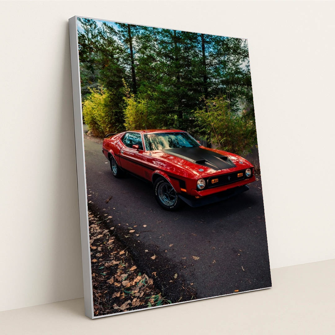 Redline Classic by Meritt Thomas - Silver Frame Stretchiez
