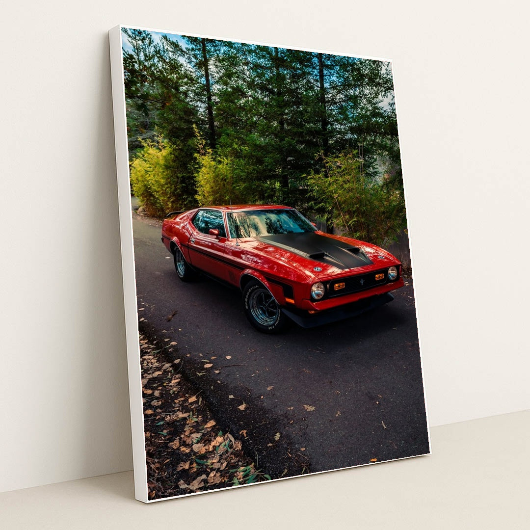 Redline Classic by Meritt Thomas - White Frame Stretchiez