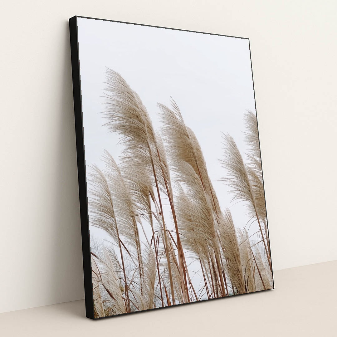 Reed by Mistline - Black Frame Stretchiez