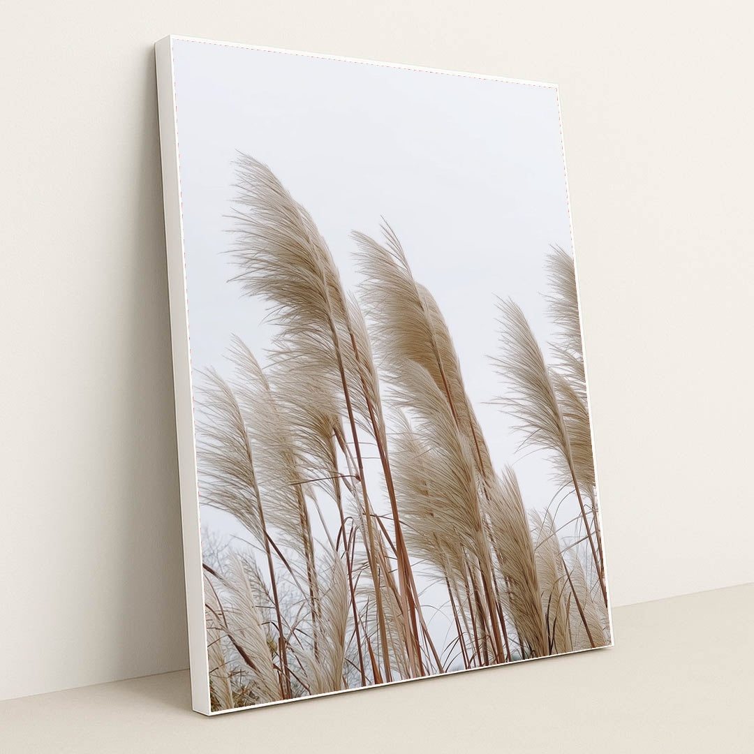 Reed by Mistline - White Frame Stretchiez