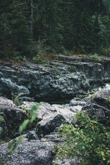 Ali Kazal - Majestic rocky terrain surrounded by dense forest in Tofino, BC, Canada.
