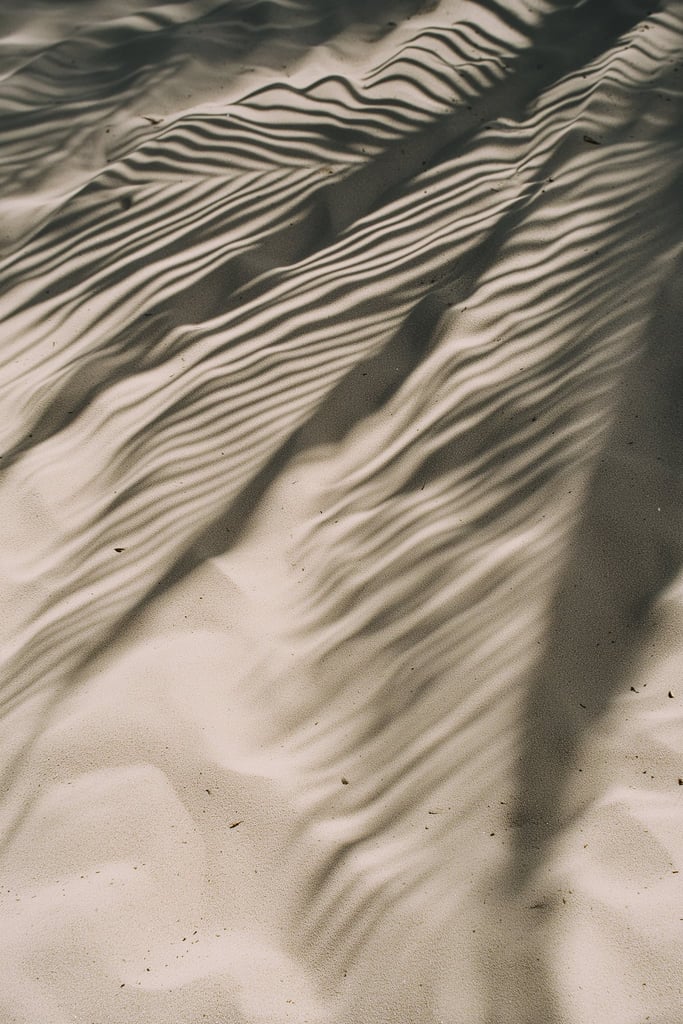 This artwork features rippled sand with striking palm leaf shadows, creating an abstract natural pattern