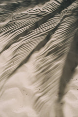 This artwork features rippled sand with striking palm leaf shadows, creating an abstract natural pattern