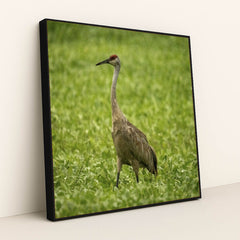 7090345312291 - Product Image