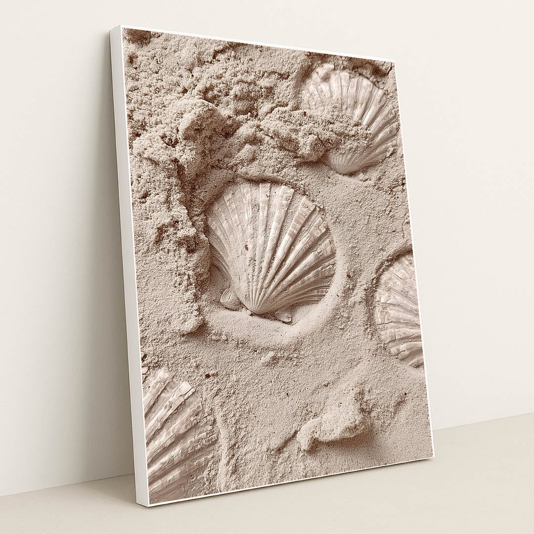Sandy Scallops by Mistline - White Frame Stretchiez
