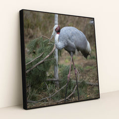 7090343772195 - Product Image