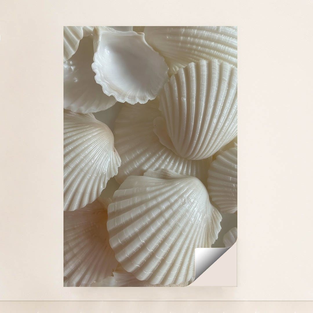 Scallop & Spindle by Mistline - Peeliez