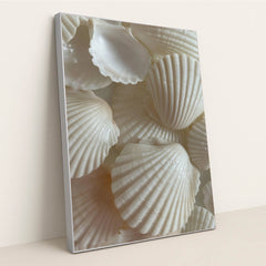 Scallop & Spindle by Mistline - Silver Frame Stretchiez
