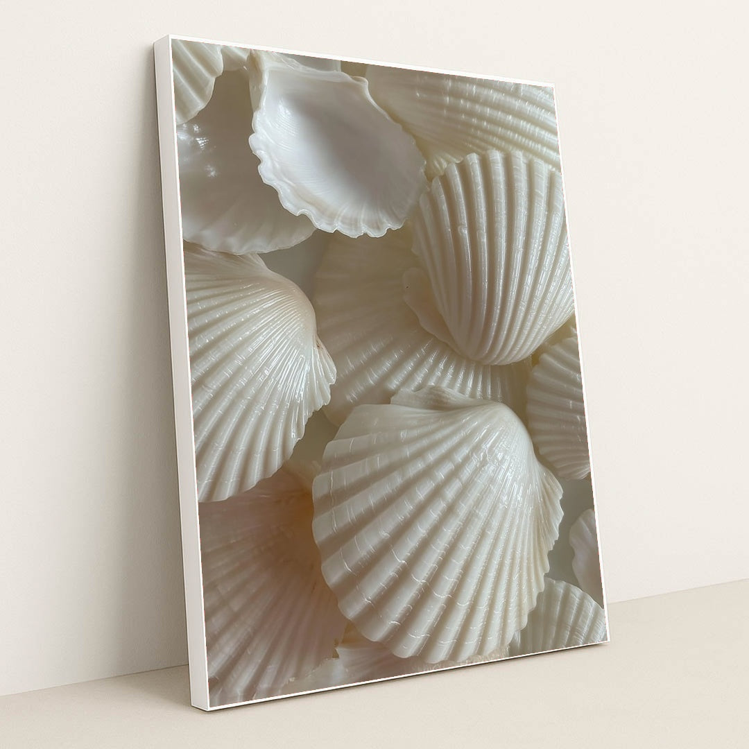 Scallop & Spindle by Mistline - White Frame Stretchiez