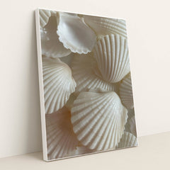 Scallop & Spindle by Mistline - White Frame Stretchiez