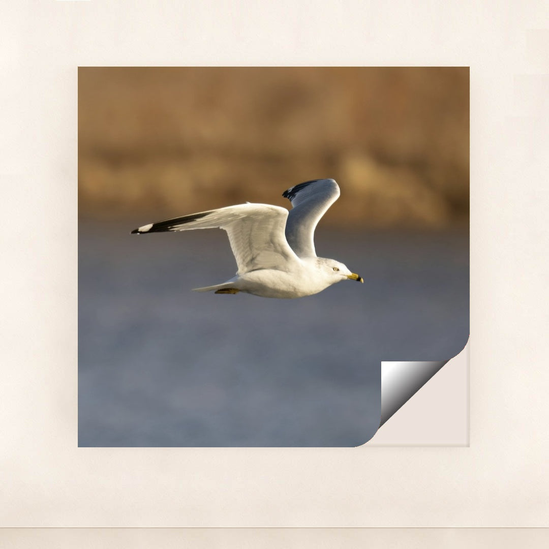 7090331844643 - Product Image