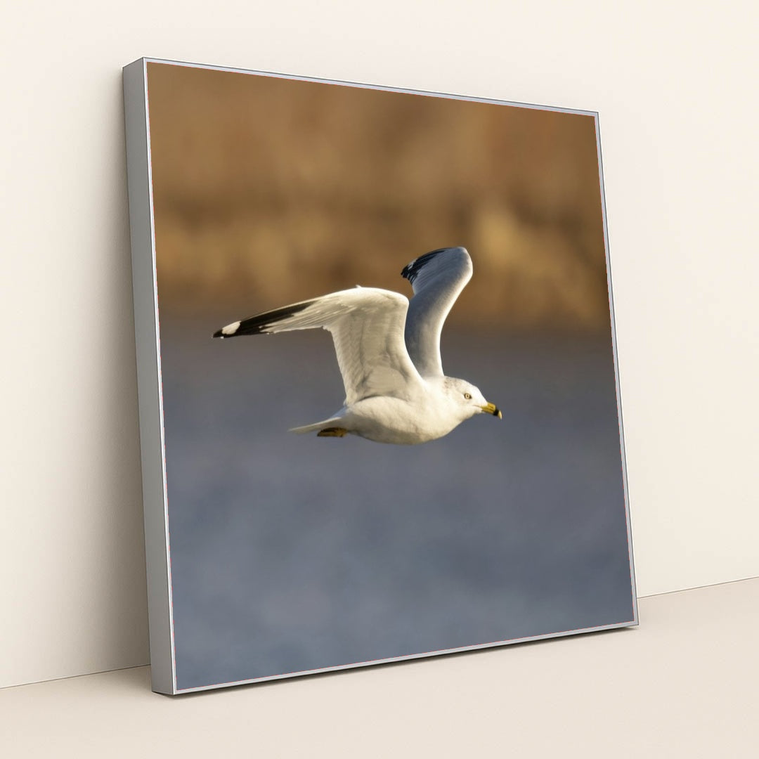 7090331844643 - Product Image