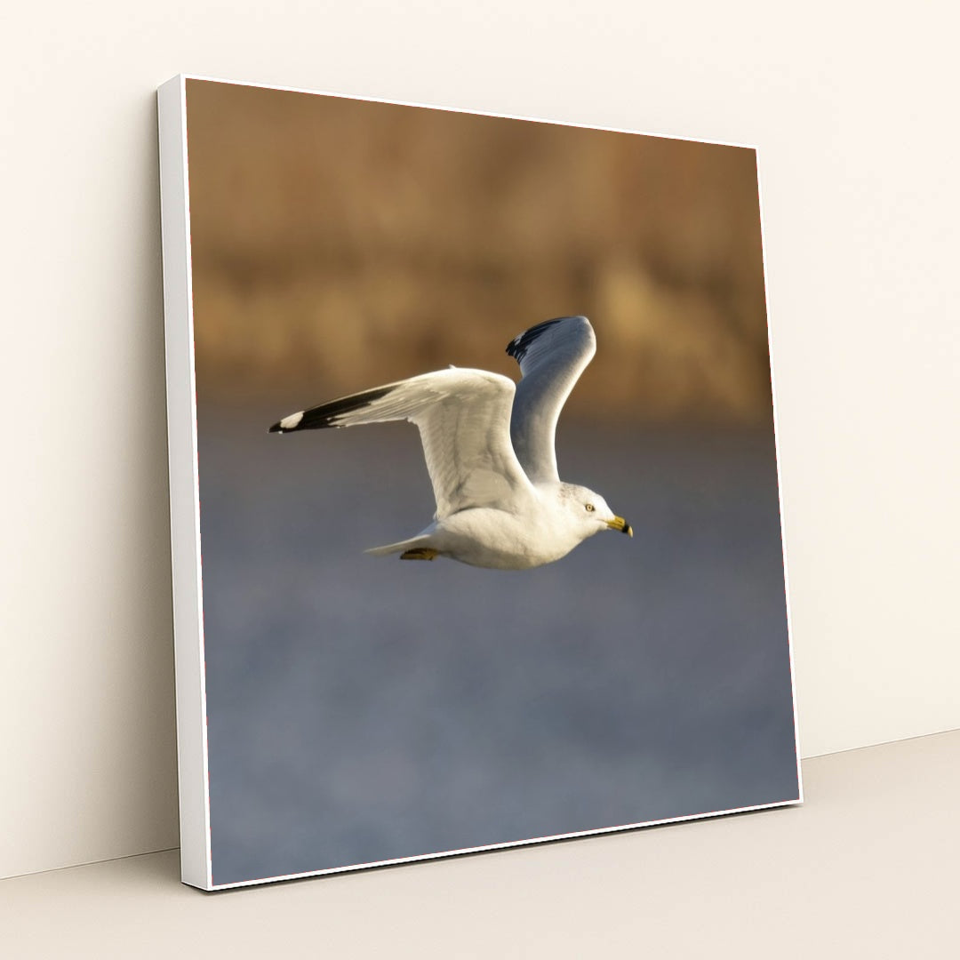 7090331844643 - Product Image