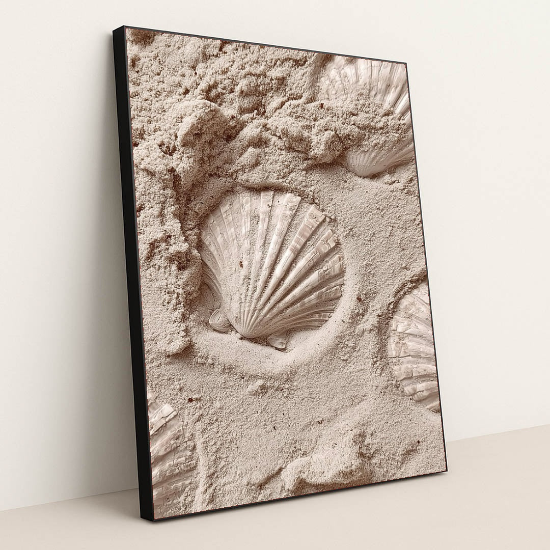 This artwork features white scallop shell imprints in smooth pale sand, in a black frame.