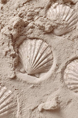 This artwork features white scallop shell imprints in smooth pale sand.
