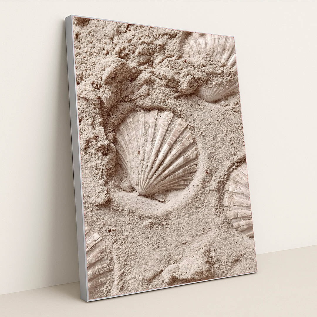This artwork features white scallop shell imprints in smooth pale sand, in a silver frame.