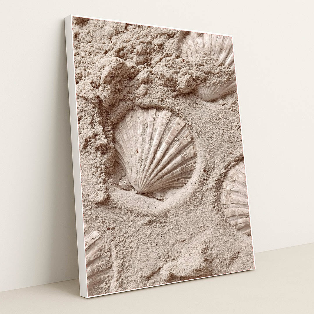 This artwork features white scallop shell imprints in smooth pale sand, in a white frame.