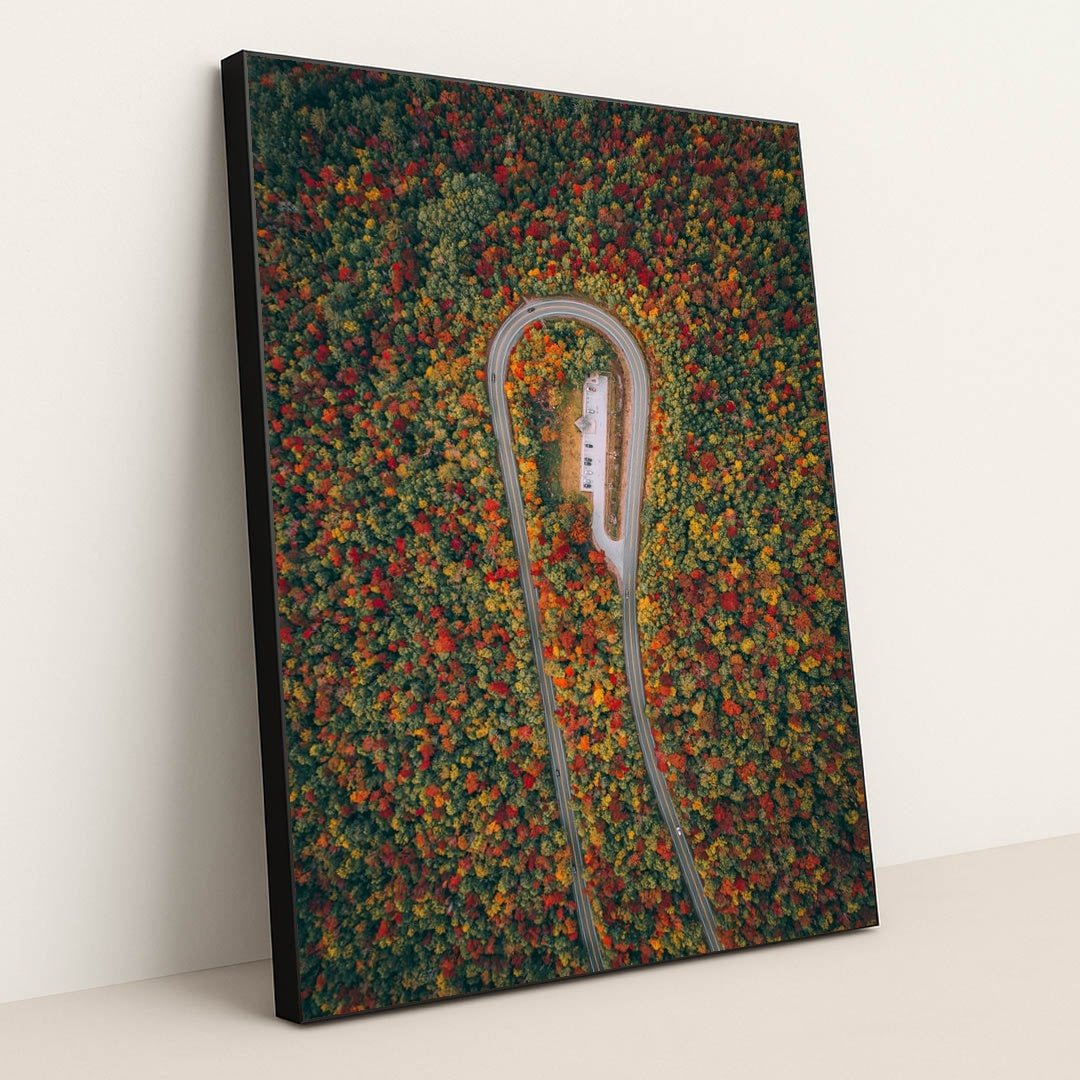 Season’s Arc by Martin Sanchez - Black Frame Stretchiez