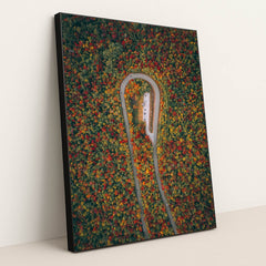 Season’s Arc by Martin Sanchez - Black Frame Stretchiez