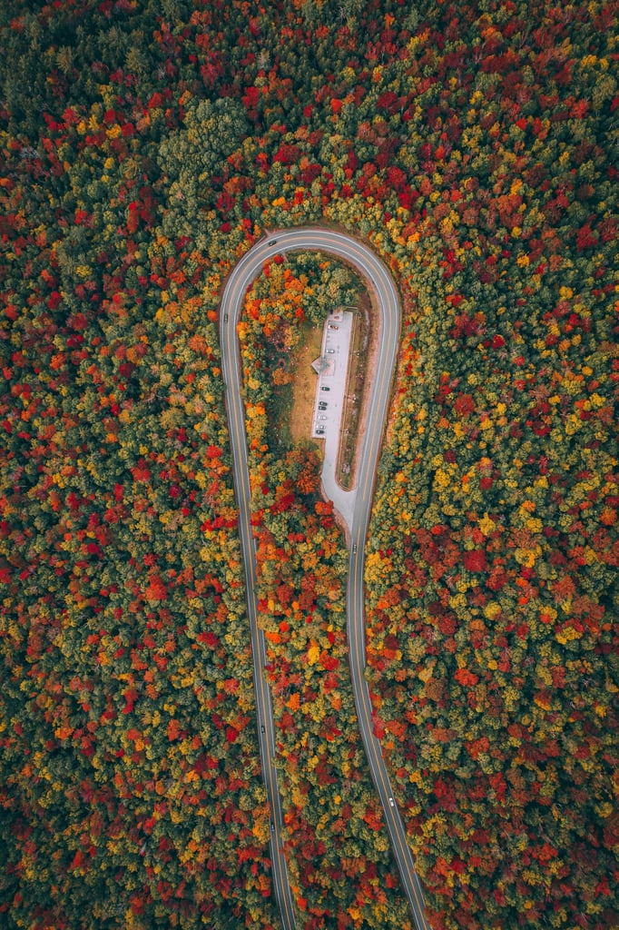 Season’s Arc by Martin Sanchez