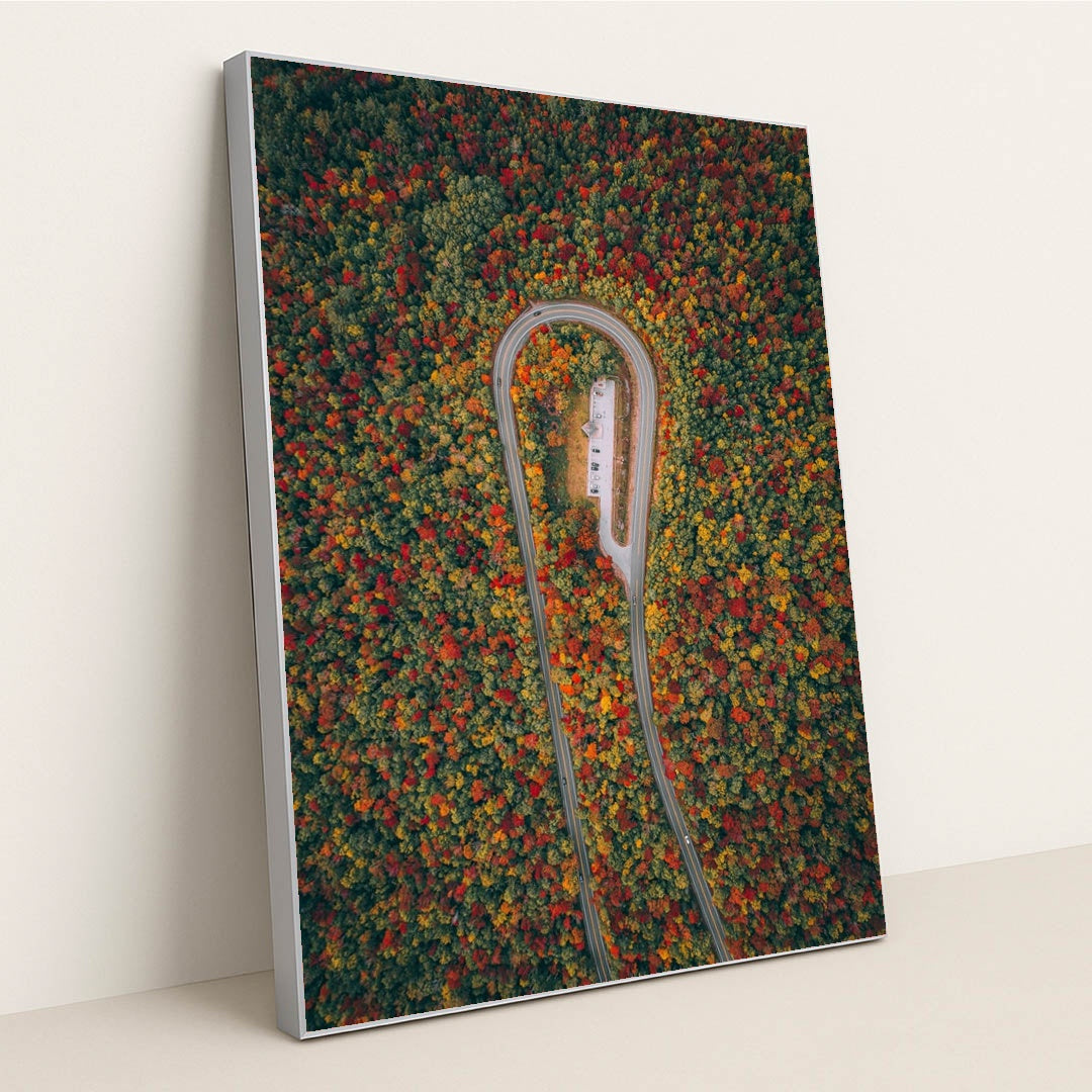 Season’s Arc by Martin Sanchez - Silver Frame Stretchiez