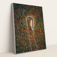 Season’s Arc by Martin Sanchez - Silver Frame Stretchiez